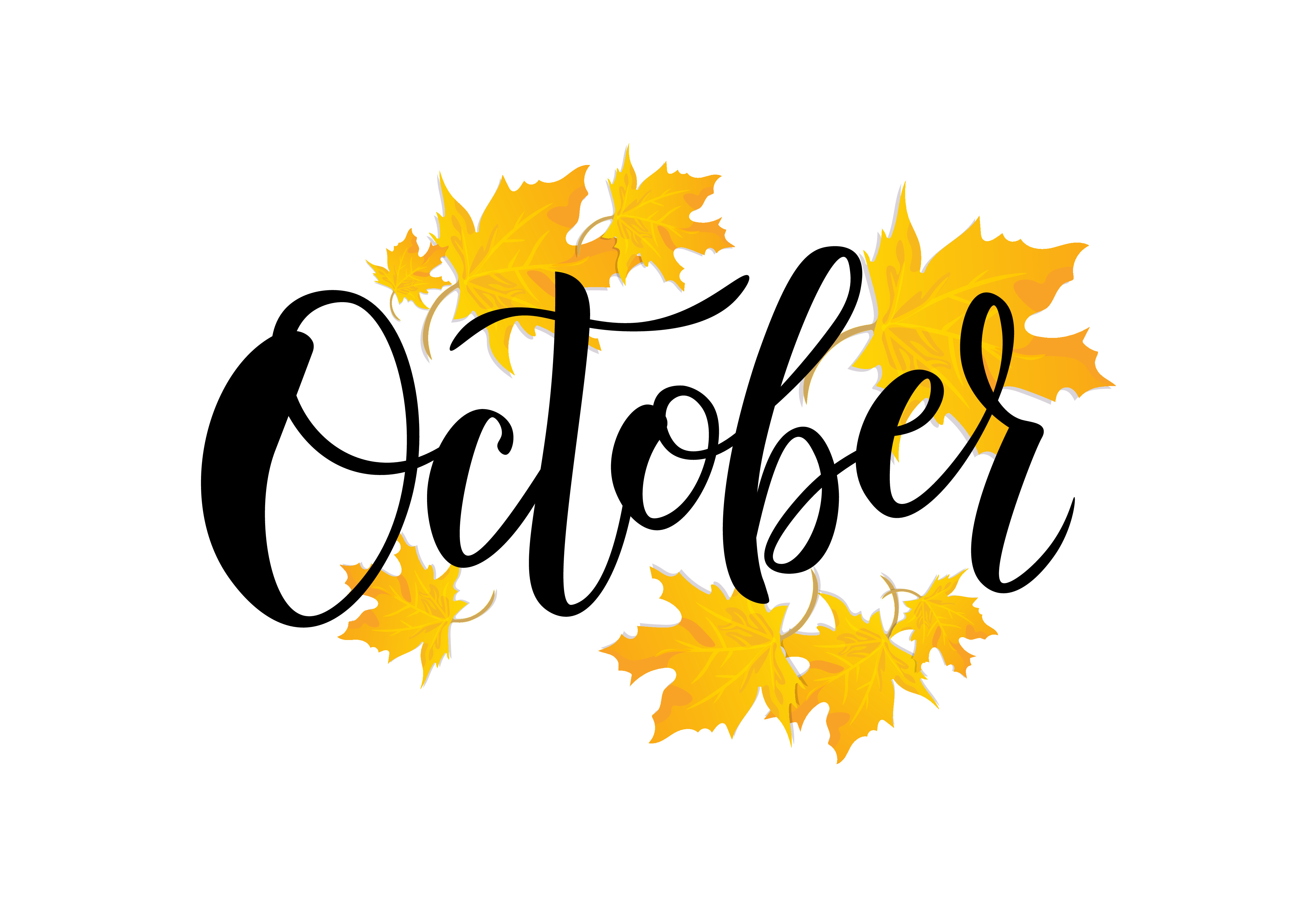 October in Review - Central Compliance UK